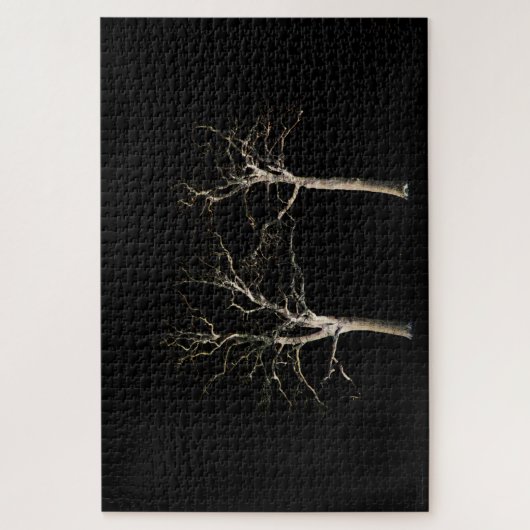 Dark Side 9 20x30 1014pc jpcna Legpuzzel (Verticaal)