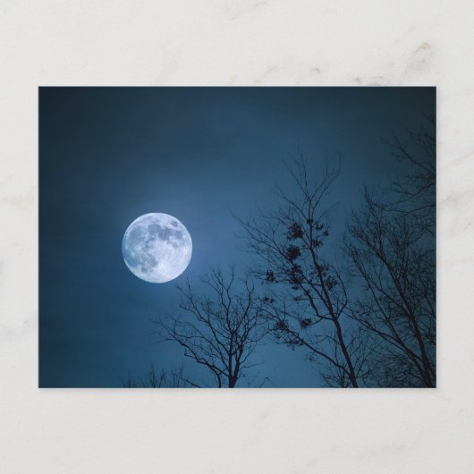Dark Sky Briefkaart (Voorkant)