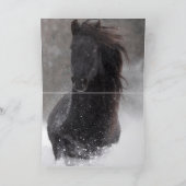 Dark Snow Horse - Paard Wenskaart Kaart (Binnen)