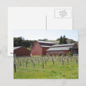 Dark Star Cellars Winery in Paso Robles, CA Briefkaart (Voorkant / Achterkant)
