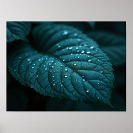 Dark Teal Macro Leaf With Rain Water Droplets Poster