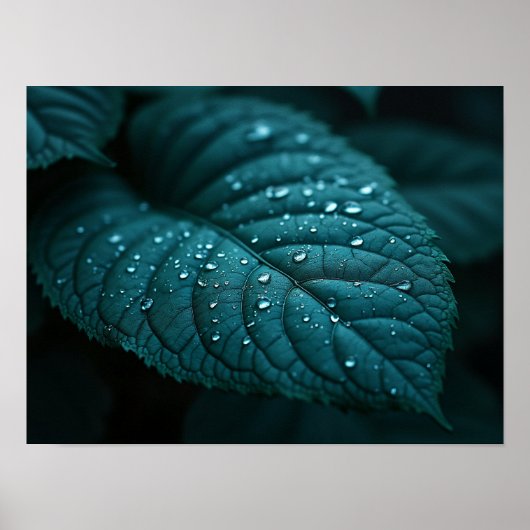Dark Teal Macro Leaf With Rain Water Droplets Poster (Voorkant)