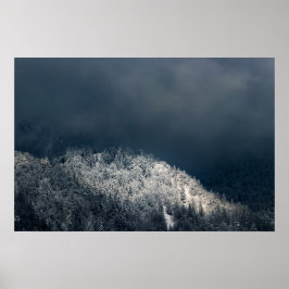 Darkness en zon over het sneeuwsparsbos poster