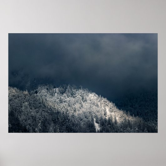 Darkness en zon over het sneeuwsparsbos poster (Voorkant)