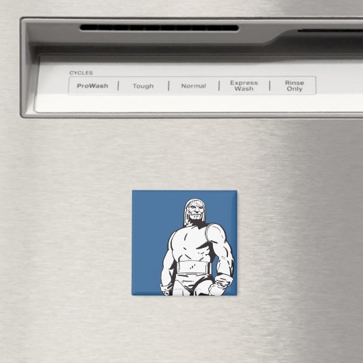 Darkseid-overzicht Magneet (Insitu (Vaatwasser))