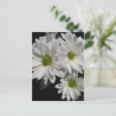 Darlin' Daisies Briefkaart (Staand voorkant)