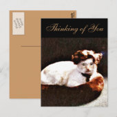 Darling,Cat_ Briefkaart (Voorkant / Achterkant)