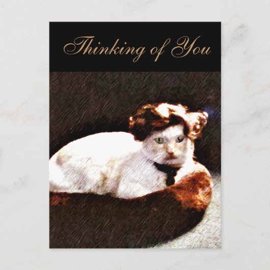 Darling,Cat_ Briefkaart (Voorkant)