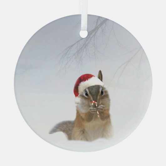 Darling Chipmunk Candy Cane and Santa Hat Glas Ornament (Achterkant)
