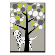 Darling Dalmation