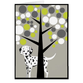 Darling Dalmation