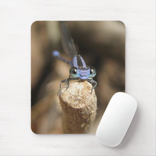 Darling Damselfly (1) Mousepad Muismat (Met muis)