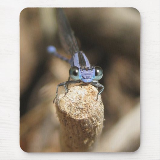 Darling Damselfly (1) Mousepad Muismat (Voorkant)
