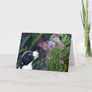 Darling dank u voor uw gezelschapsverlof bedankkaart