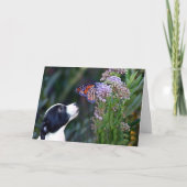 Darling dank u voor uw gezelschapsverlof bedankkaart (Voorkant)