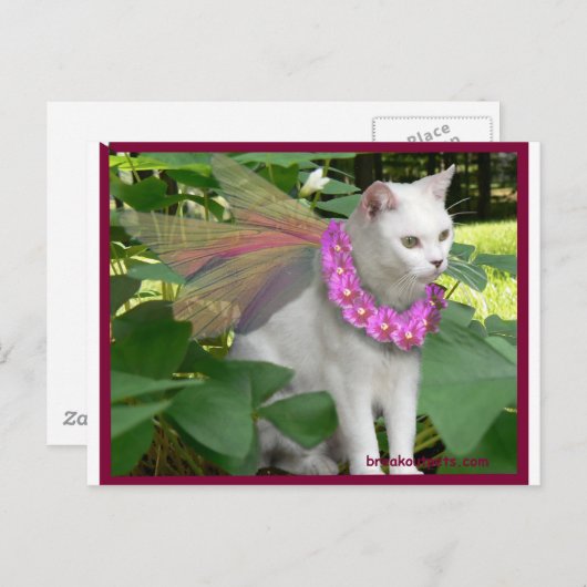 Darling Fairy Cat Briefkaart (Voorkant / Achterkant)