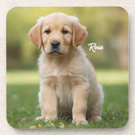 Darling Golden Retriever Gepersonaliseerde Onderze Bier Onderzetter
