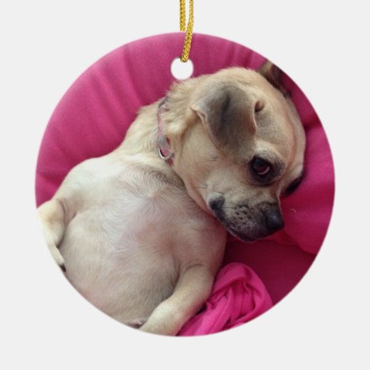 Darling Puppy Chug Dog kerstornament Pink Keramisch Ornament (Voorkant)