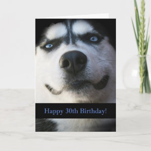 Darling Smiling Husky Funny 30th Birthday Kaart