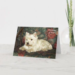Darling West Highland Terrier Thinking of You Card Kaart