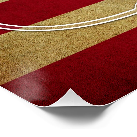 Darlington Motor Speedway Perfect Poster (Hoek)