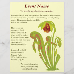 Darlingtonia californica, carnivoren Plant Flyer