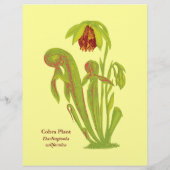 Darlingtonia californica, carnivoren Plant Flyer (Achterkant)