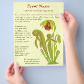 Darlingtonia californica, carnivoren Plant Flyer (Hand)