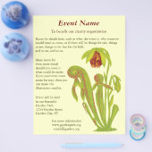 Darlingtonia californica, carnivoren Plant Flyer (Enkel)