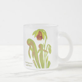 Darlingtonia californica, carnivoren Plant Matglas Koffiemok