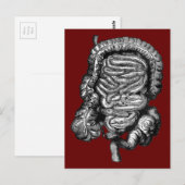 DARMDIAGRAM  BRIEFKAART (Voorkant / Achterkant)