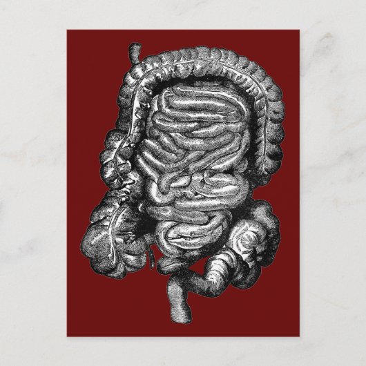 DARMDIAGRAM  BRIEFKAART (Voorkant)