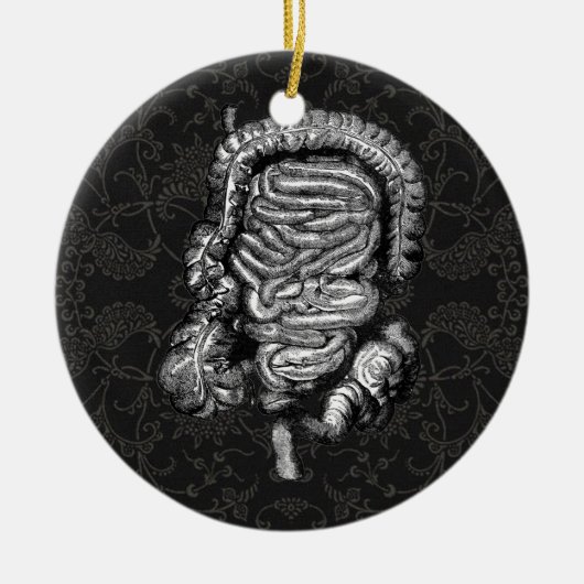 DARMDIAGRAM  KERAMISCH ORNAMENT (Voorkant)