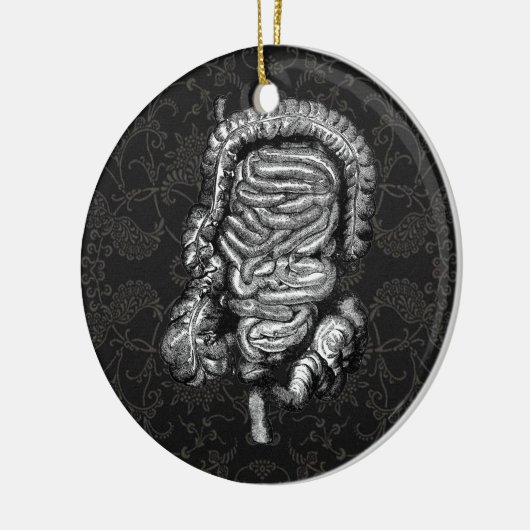 DARMDIAGRAM  KERAMISCH ORNAMENT (Links)