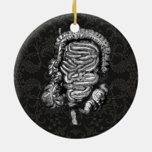 DARMDIAGRAM  KERAMISCH ORNAMENT (Achterkant)