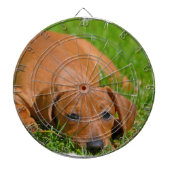 Dart Board - Gepersonaliseerd Dartbord (Voorkant)