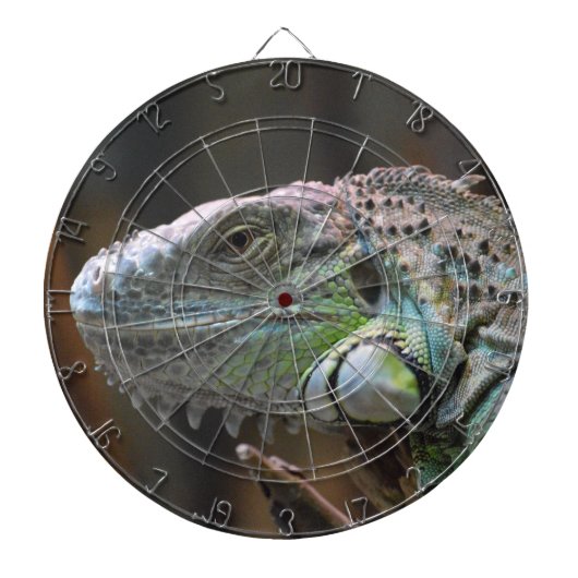 Dart Board met hoofd van de kleurrijke Iguana hage Dartbord (Voorkant)