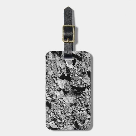 DART Dimorfos Asteroïde Moonlet Surface Bagagelabel (Voorkant verticaal)