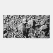 DART Dimorfos Asteroïde Moonlet Surface Bureaumat (Voorkant)