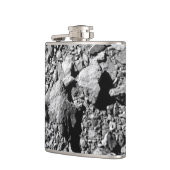 DART Dimorfos Asteroïde Moonlet Surface Heupfles (Links)