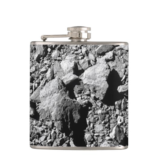 DART Dimorfos Asteroïde Moonlet Surface Heupfles (Voorkant)