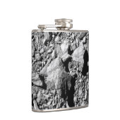 DART Dimorfos Asteroïde Moonlet Surface Heupfles (Rechts)
