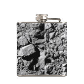 DART Dimorfos Asteroïde Moonlet Surface Heupfles (Achterkant)