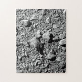 DART Dimorfos Asteroïde Moonlet Surface Legpuzzel (Verticaal)