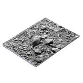 DART Dimorfos Asteroïde Moonlet Surface Notitieboek (Linkerzijde)