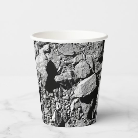 DART Dimorfos Asteroïde Moonlet Surface Papieren Bekers (Achterkant)