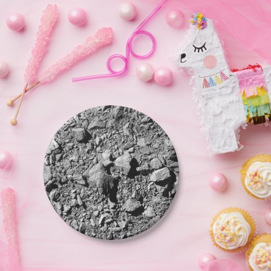 DART Dimorfos Asteroïde Moonlet Surface Papieren Bordje (Feest)