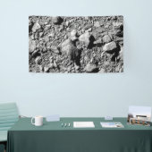 DART Dimorfos Asteroïde Moonlet Surface Spandoek (Beurs)