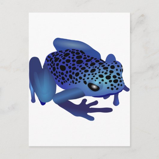 Dart Frog Briefkaart (Voorkant)