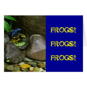 Dart Frog Buddies